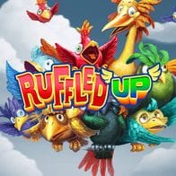 Ruffled Up game thumbnail