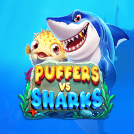 Puffers Vs Sharks game thumbnail
